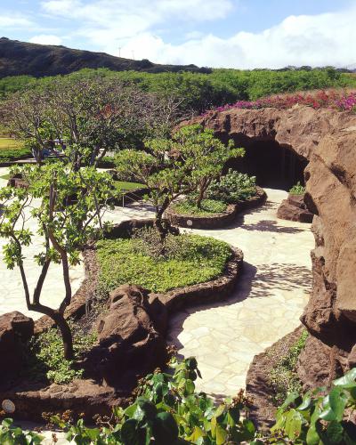 A rocky area with green grass and trees.