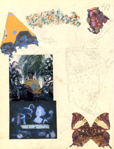 drawings and photograph collage with butterflies