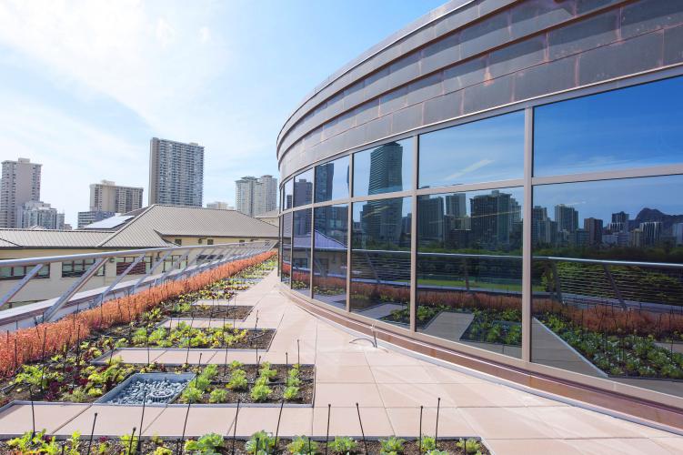 Sullivan Center Roof