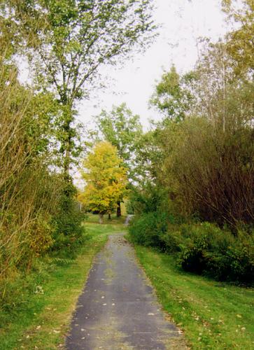 Paved pathway