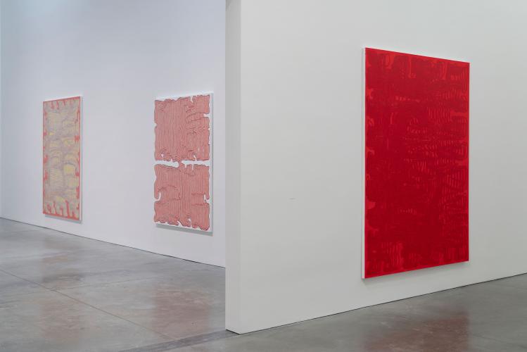 Installation view, James Siena: Painting (2019)