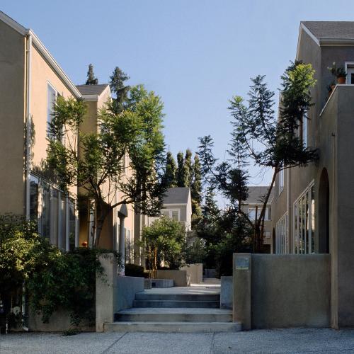 A walkway between houses.