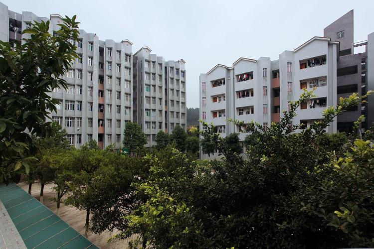 View of gray multistory dorm and apartment buildings.