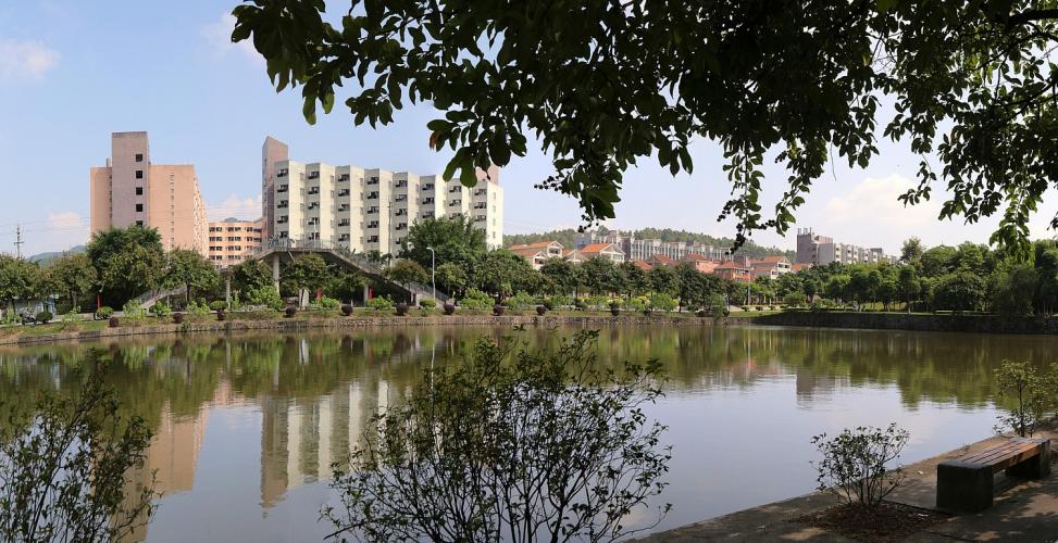 Buildings and houses overlook a pond surrounded by trees.