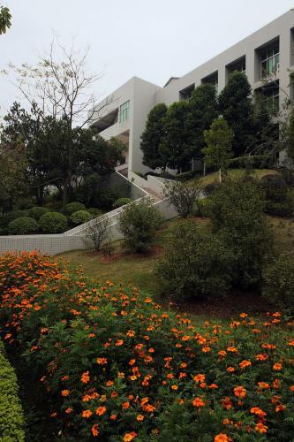 Bushes and flowers line the south entry into a building.