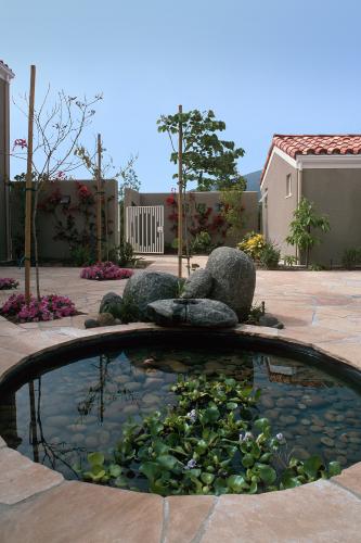 A small round pond in the courtyard.