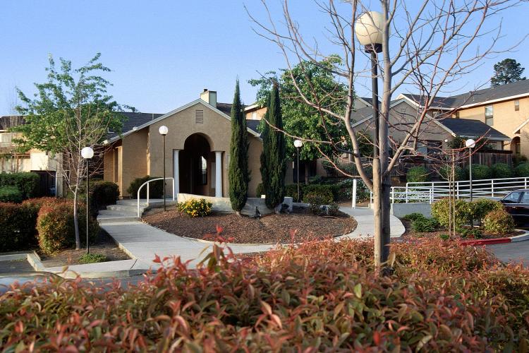 Sidewalks and plants in community housing complex.