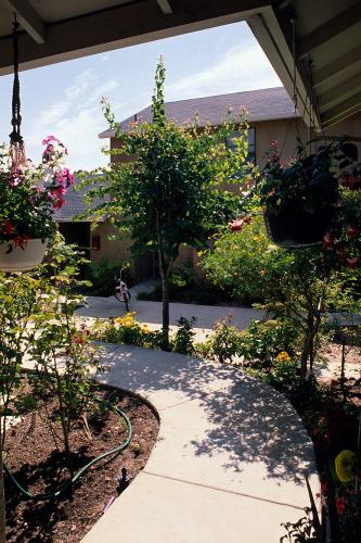 View from a threshold of a housing unit looking out onto the common space with plants around