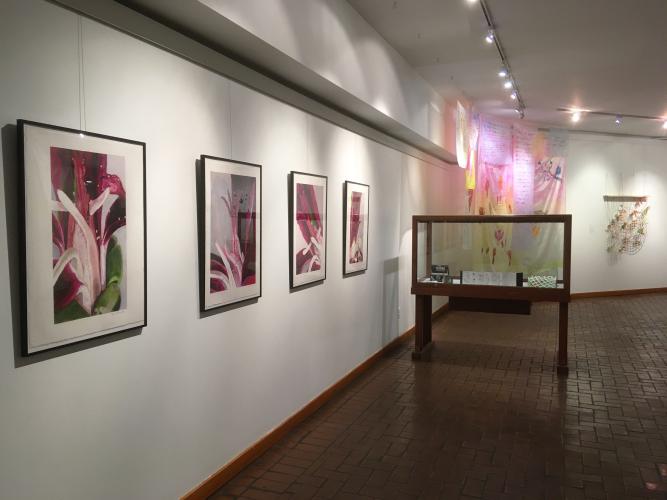 Framed watercolor paintings of pink plants line a wall as part of an exhibition. 