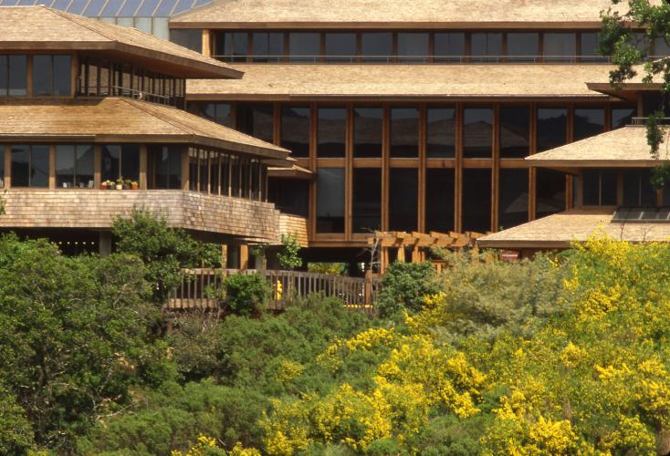 Two rectangular cedar-shingle clad buildings flank a long main building lined with windows bordered by wooden planks.