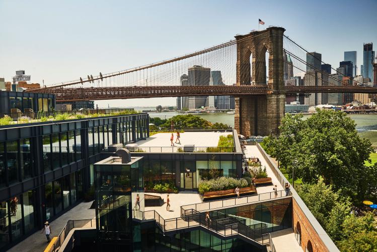 The Brooklyn Bridge forms the backdrop for a roof with greenery and benches.