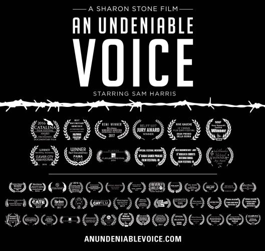 Poster for documentary An Undeniable Voice