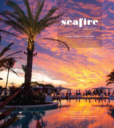 An advertisement for a luxury resort, showing a waterside palm tree at sunset.