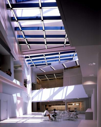 Photograph of a building interior with skylight windows across the ceiling.
